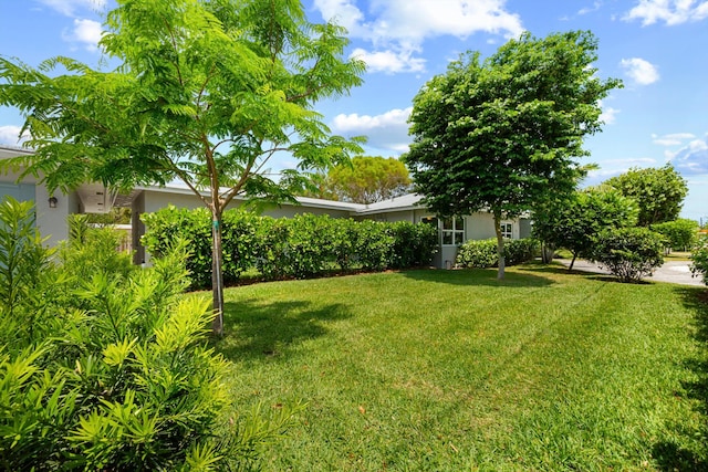 view of green lawn