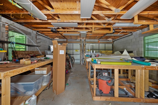 storage room featuring a garage