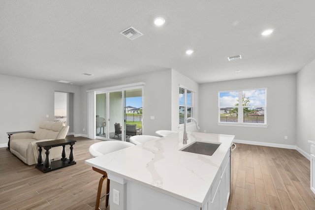 kitchen with a sink, light wood-type flooring, open floor plan, and visible vents