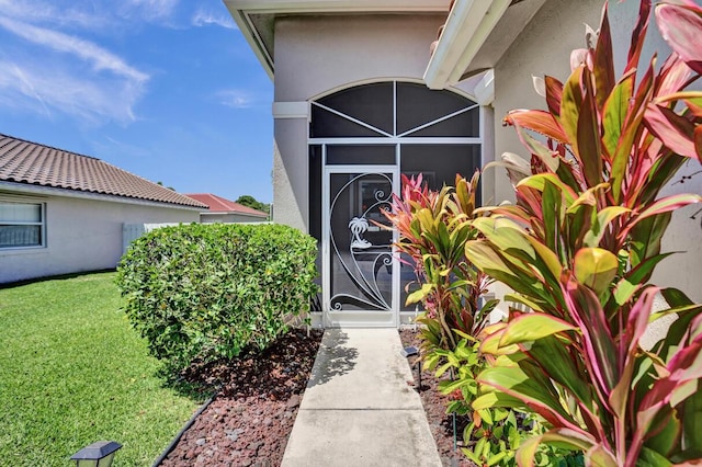 view of exterior entry featuring a lawn and stucco siding