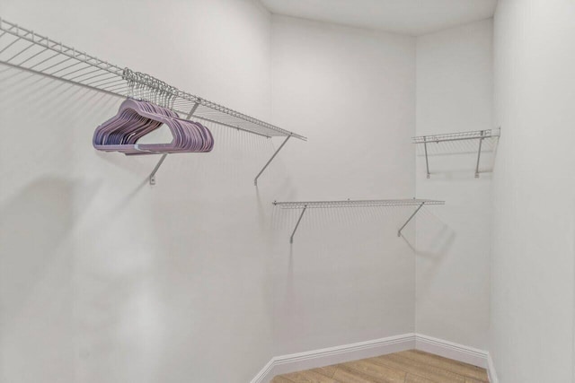 walk in closet with light wood-type flooring