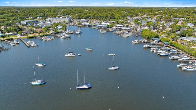drone / aerial view with a water view and a wooded view