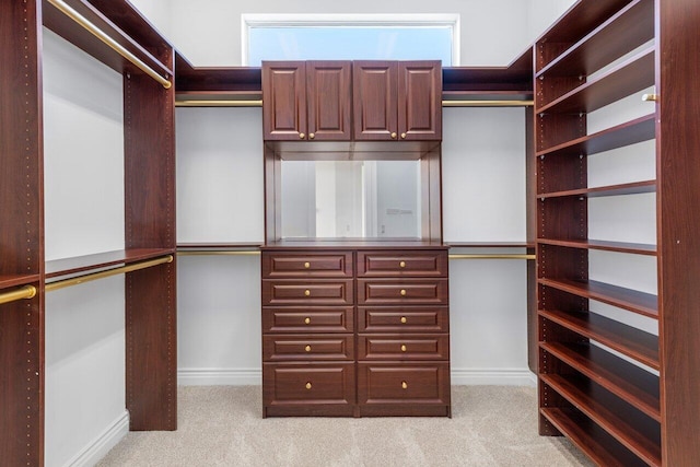 spacious closet with carpet