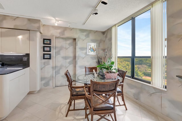 7578 Regency Lake Dr Unit 702, Boca Raton, FL 33433 - dining space with rail lighting, light tile patterned flooring, floor to ceiling windows, and a textured ceiling