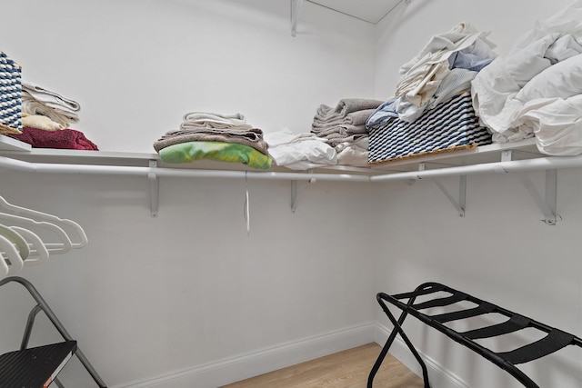 1256 Holly Cove Dr, Jupiter, FL 33458 - walk in closet featuring light wood-style floors