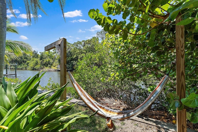 1256 Holly Cove Dr, Jupiter, FL 33458 - view of details