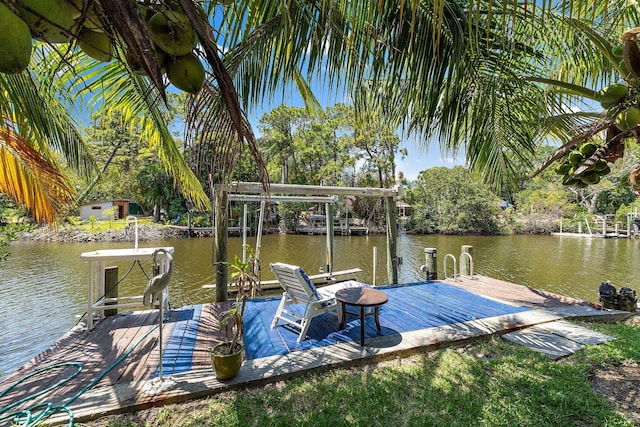 1256 Holly Cove Dr, Jupiter, FL 33458 - view of dock with a water view