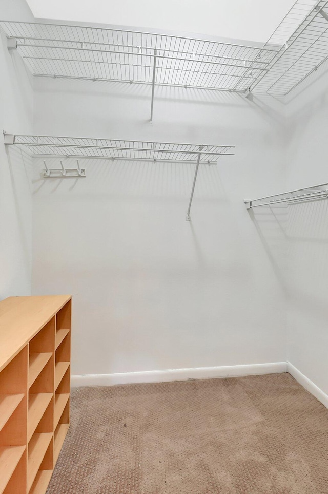 1341 NW 19 Th Ter Unit A, Delray Beach, FL 33445 - spacious closet with light colored carpet