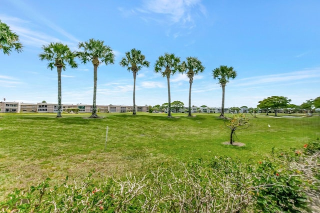 544 Piedmont L, Delray Beach, FL 33484 - view of yard