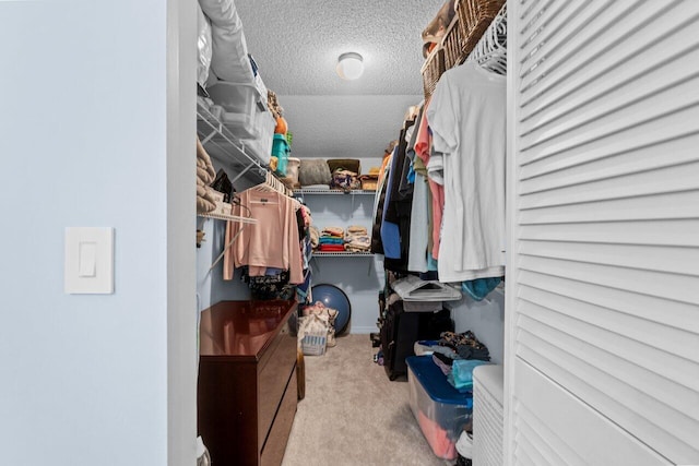 2641 Gately Dr W Unit 103, West Palm Beach, FL 33415 - walk in closet featuring carpet floors