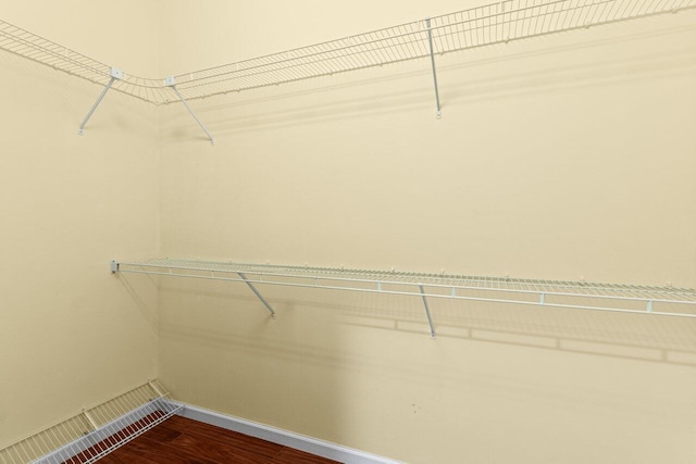 spacious closet featuring dark wood-style floors