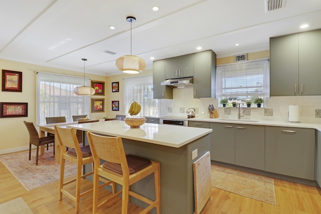 kitchen with gray cabinetry, a wealth of natural light, a sink, and visible vents