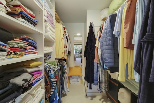 spacious closet with carpet flooring
