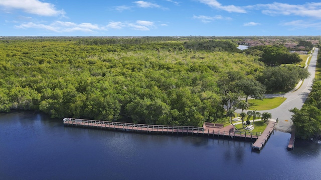 aerial view featuring a view of trees and a water view