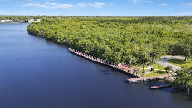 671 SW S River Dr Unit 207, Stuart, FL 34997 - drone / aerial view of a forest and a large body of water