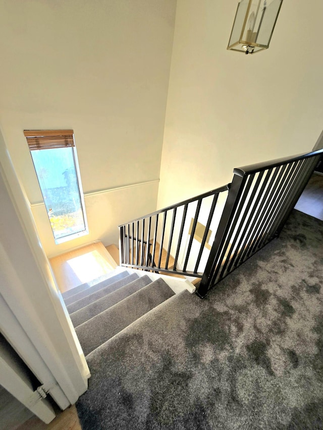 stairs featuring carpet flooring