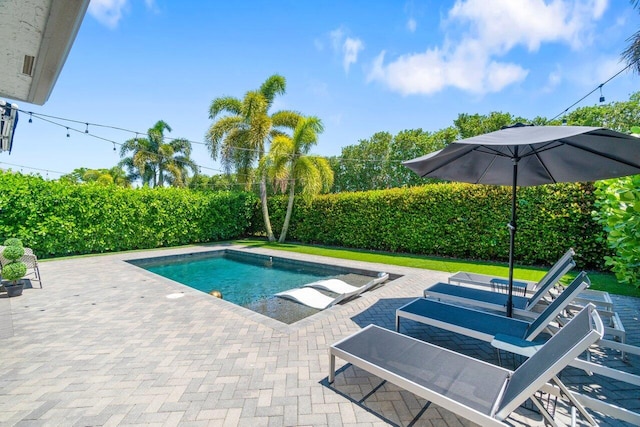 9610 Sterling Shores St, Delray Beach, FL 33446 - view of pool featuring a patio