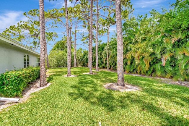 14612 Canalview Dr Unit B, Delray Beach, FL 33484 - view of yard