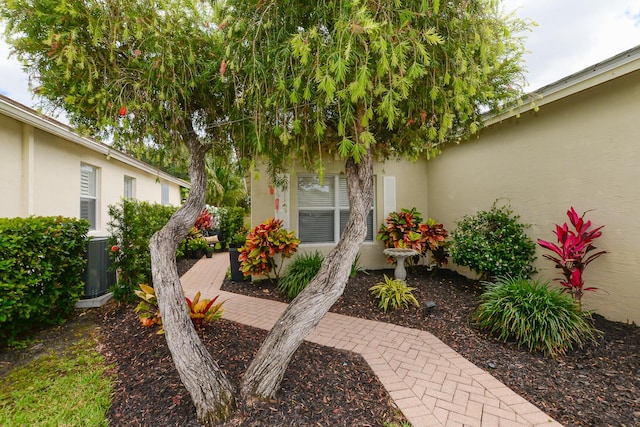 entrance to property with central air condition unit and stucco siding