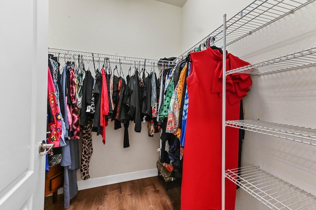 7384 NW Greenspring St, Port Saint Lucie, FL 34987 - spacious closet with wood finished floors