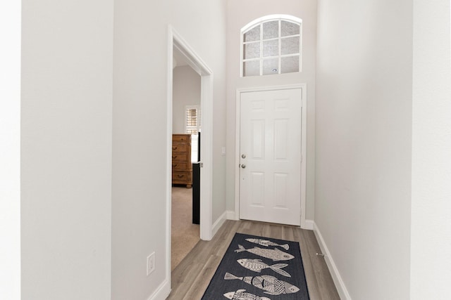 doorway with baseboards, a high ceiling, wood finished floors, and a wealth of natural light