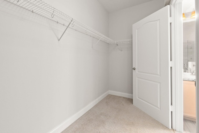 walk in closet with light carpet