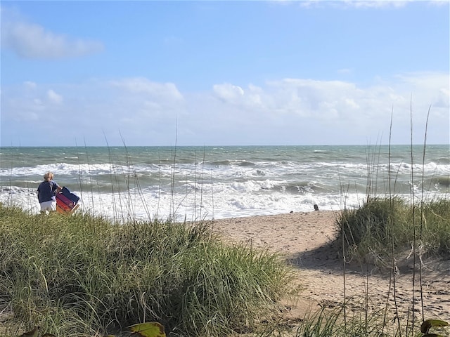 property view of water with a beach view