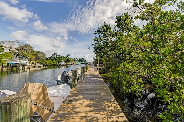 dock with a water view