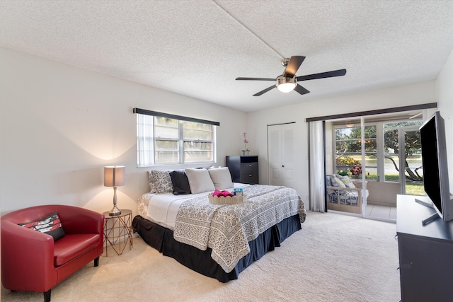 bedroom with a textured ceiling, multiple windows, carpet, and access to exterior