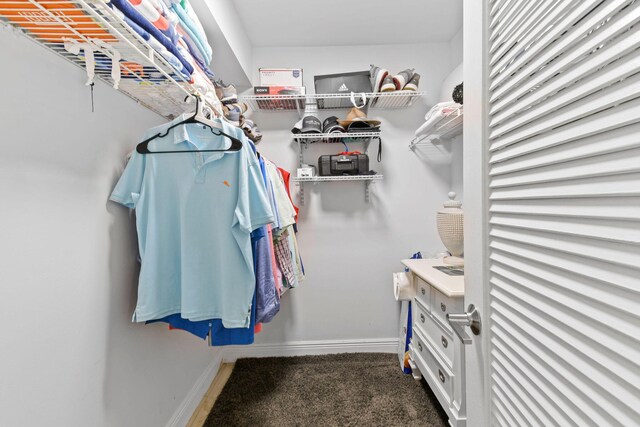 spacious closet with carpet