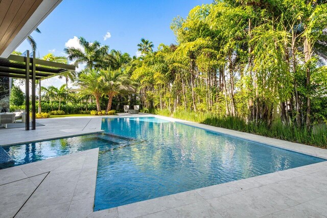 217 Thatch Palm Dr, Boca Raton, FL 33432 - view of pool with a patio area and a pool with connected hot tub