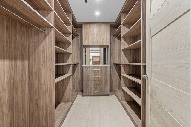 spacious closet featuring light wood finished floors