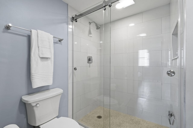 bathroom with toilet and a stall shower