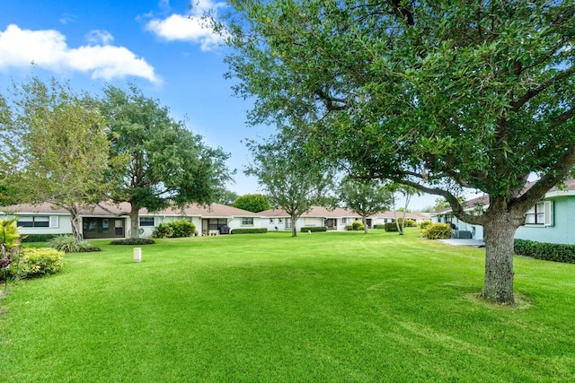 9750 Tabebuia Tree Dr Unit A, Boynton Beach, FL 33436 - view of yard