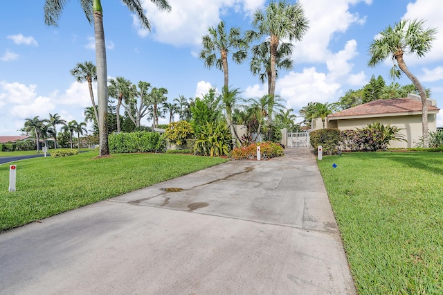 5674 Ainsley Ct, Boynton Beach, FL 33437 - view of yard featuring a gate and driveway