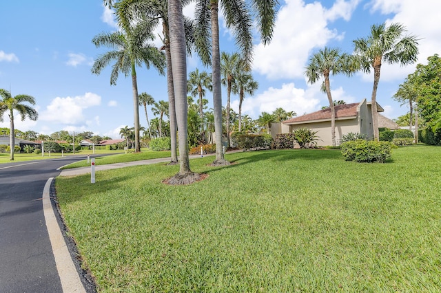 5674 Ainsley Ct, Boynton Beach, FL 33437 - view of grassy yard