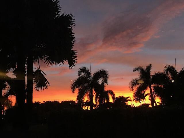 5674 Ainsley Ct, Boynton Beach, FL 33437 - view of nature at dusk