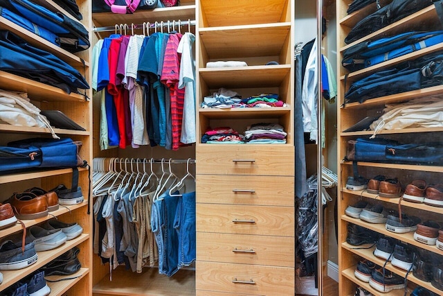 11952 Fox Hill Cir, Boynton Beach, FL 33473 - view of walk in closet