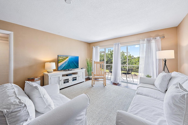 living room with a textured ceiling