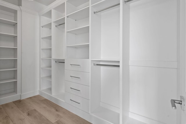 4707 SE Manatee Way, Stuart, FL 34997 - walk in closet featuring light wood-style flooring