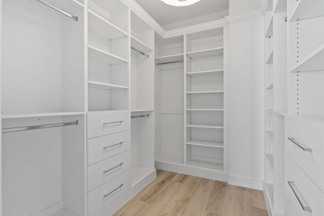 4707 SE Manatee Way, Stuart, FL 34997 - walk in closet featuring light wood-type flooring