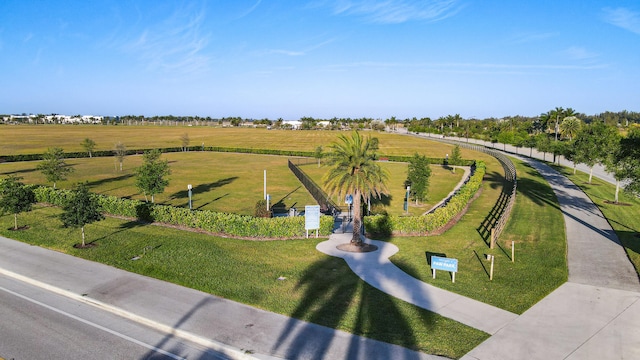 bird's eye view