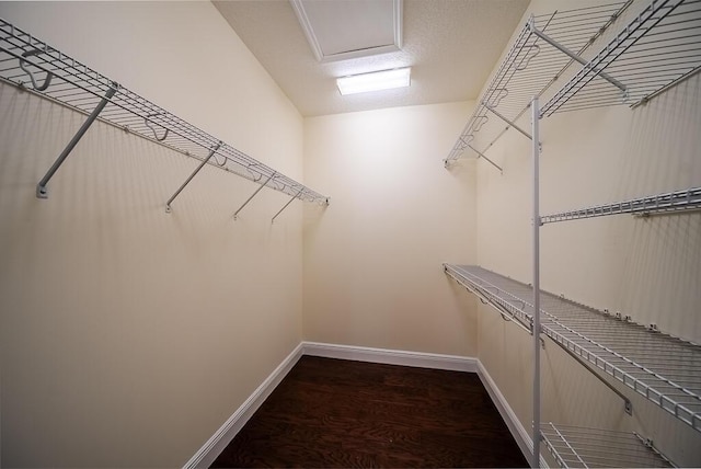 walk in closet with dark wood-type flooring