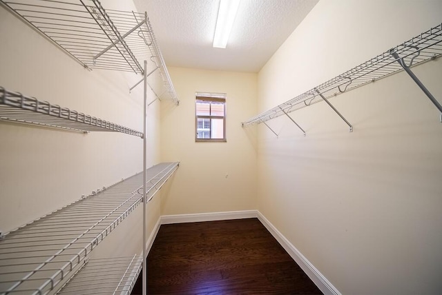 spacious closet with wood finished floors