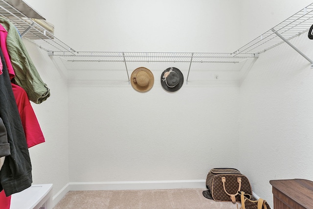 12968 Anthorne Ln, Boynton Beach, FL 33436 - spacious closet with carpet floors