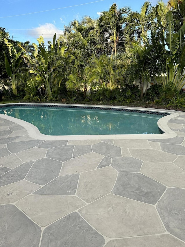 5111 NE 27th Ter NE, Lighthouse Point, FL 33064 - outdoor pool with a patio area