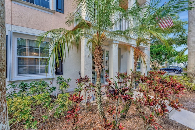 view of home's exterior featuring stucco siding