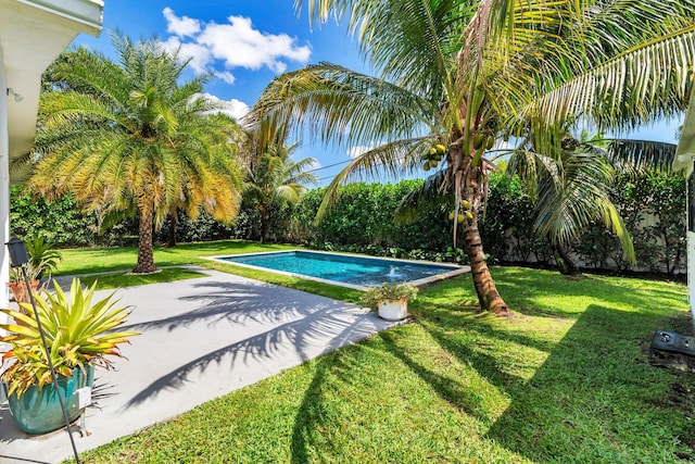 outdoor pool with a patio and a lawn