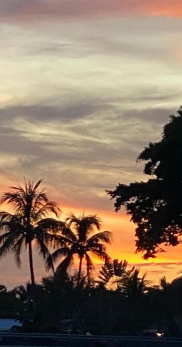147 Oregon Ln, Boca Raton, FL 33487 - view of nature at dusk