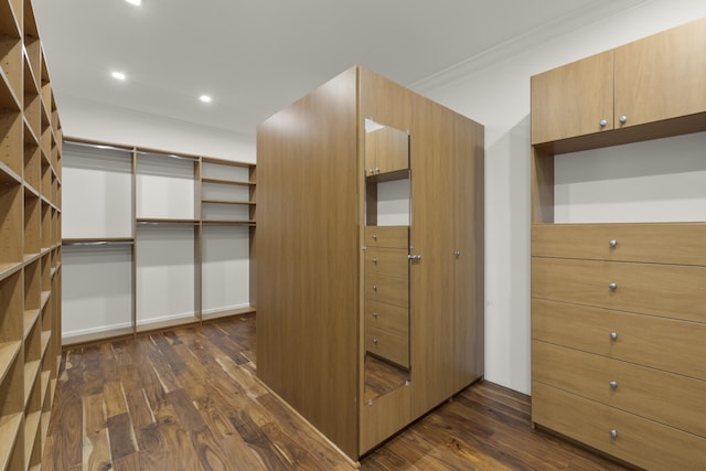 103 River Dr, Tequesta, FL 33469 - spacious closet with dark wood-type flooring